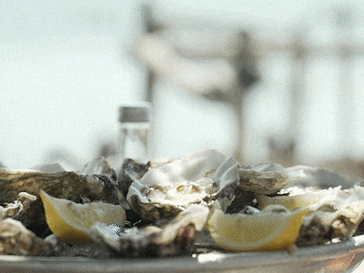 Oysters in the Languedoc, France